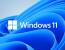 Windows 11은 Intel 및 AMD 시스템 모두에서 게임 및 그 이상에서 Windows 10보다 성능이 저하됨