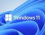 무차별 대입 공격을 차단하는 Windows 11 계정 잠금 정책